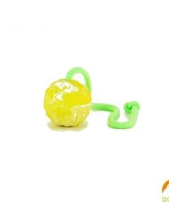 B00605-2-harde-bal-met-koord-7cm