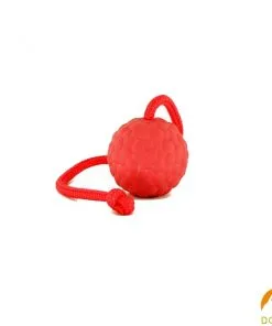 B00605-harde-bal-met-koord-7cm