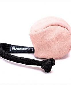 B00651 leren bal met koord