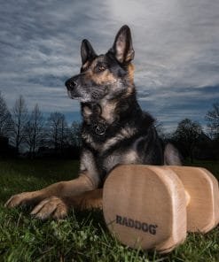 RADDOG magnetisch apporteer blok hout 7 Tarzan