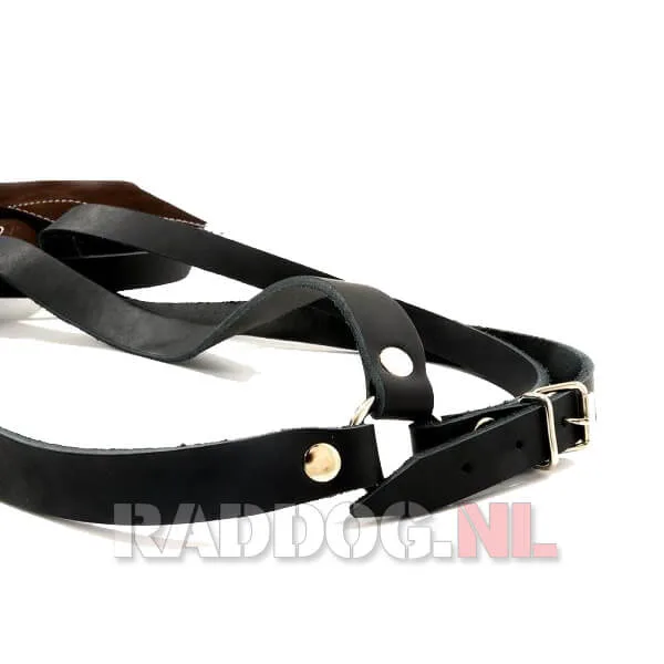 RADDOG leren schort voor helper 4 Stel;riemen