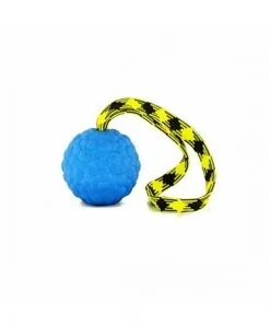 Magneet bal