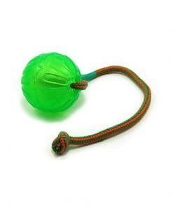 Chew ball met koord 1