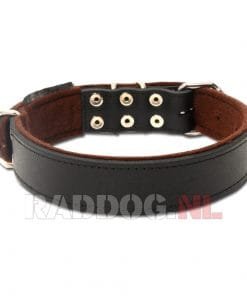 Band breed achterzijde