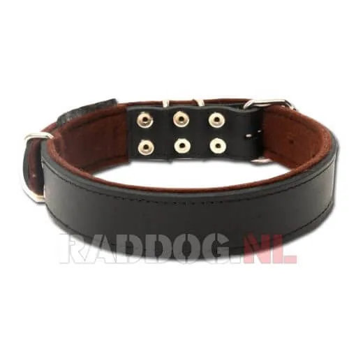 Band breed achterzijde