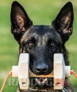 06 021 4 knutt fuchs apport set