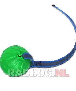 Chew ball met koord