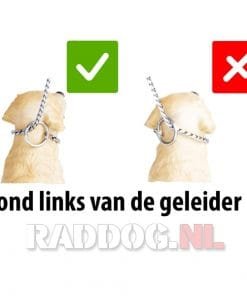 Schakelketting Chrome met grote schakel 8 Correcte gebruik bij hond links van geleider