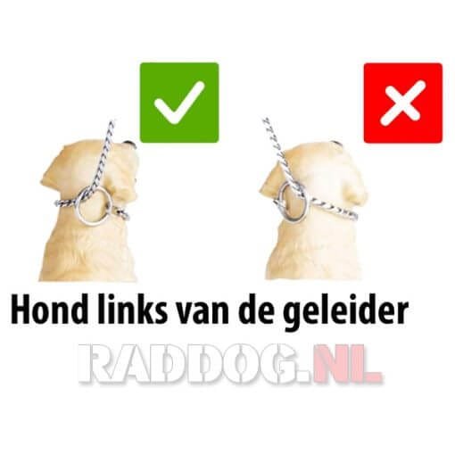 Correcte gebruik bij hond links van geleider