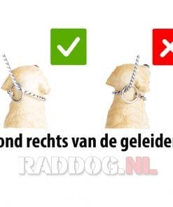 Schakelketting Chrome met grote schakel 9 Correcte gebruik bij hond rechts van geleider