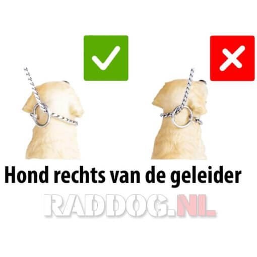 Correcte gebruik bij hond rechts van geleider