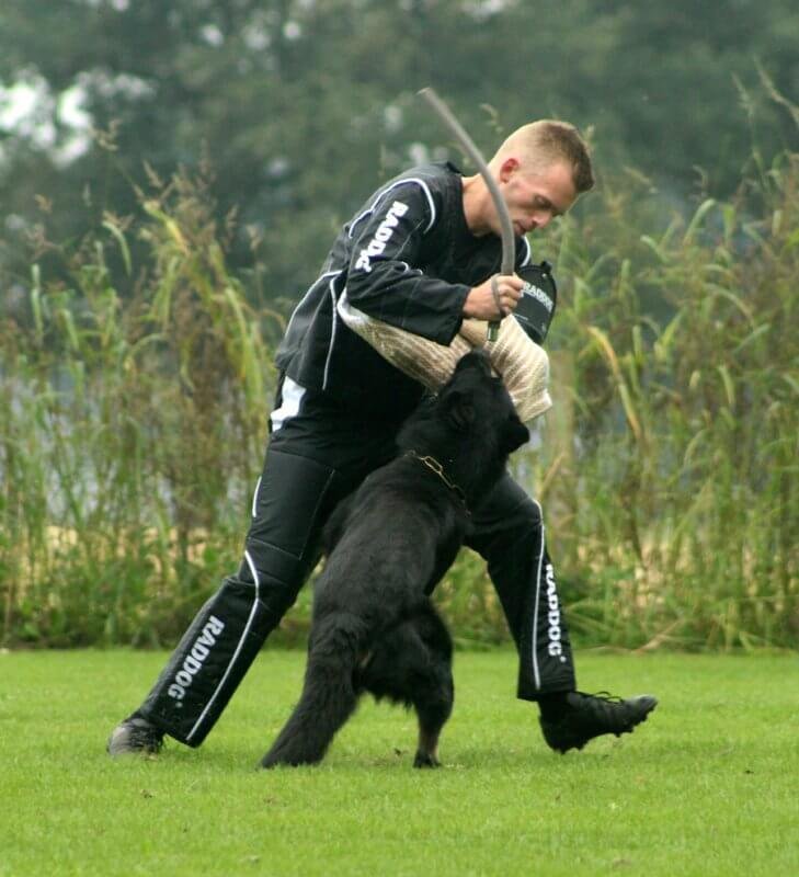 Bijtmouw hond: Een Essentieel Hulpmiddel voor Helpers 1 Bijtmouw hond, drijven