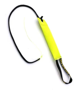 Alternative view of Bijtrol groot met zweep en handlus