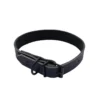 Halsband Leer 25mm 12 Halsband leer 25mm 2900.jpg
