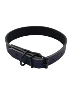 Halsband Leer 25mm