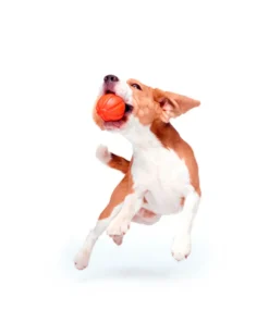 LIKER ball 14 Liker7 dog