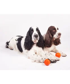 LIKER ball 15 Liker9 dogs