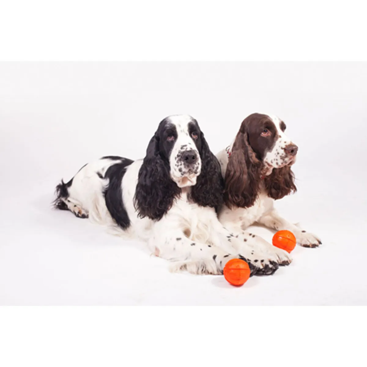 LIKER ball 8 LIKER ball - Afbeelding 8